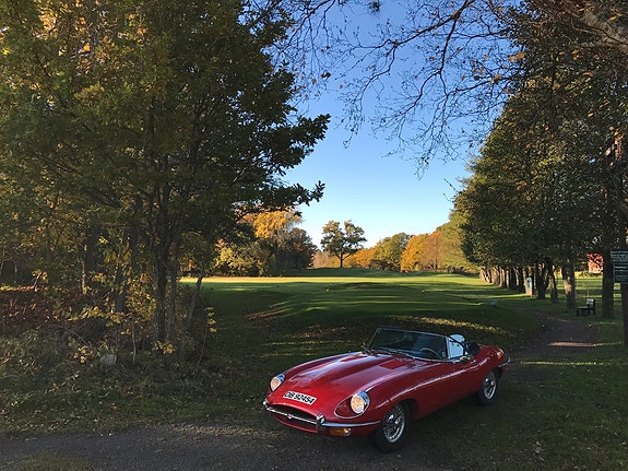 Jaguar E-TYPE 2 of 11