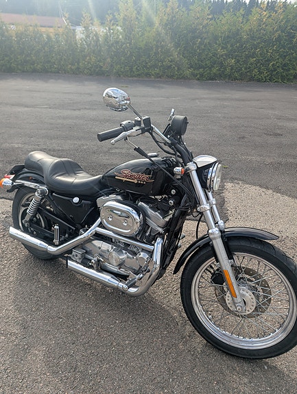 Harley-Davidson XL 883 Sportster 7 of 10