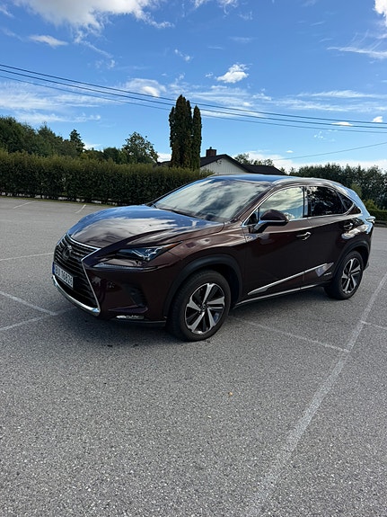 Lexus NX300h 3 of 30