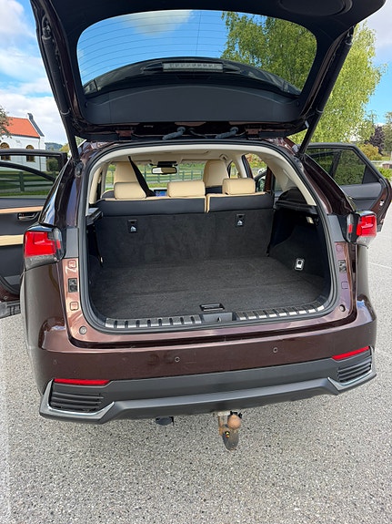 Lexus NX300h 26 of 30