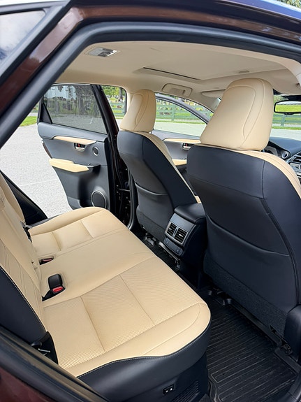 Lexus NX300h 29 of 30