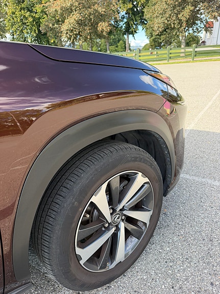 Lexus NX300h 13 of 30