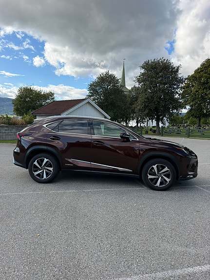 Lexus NX300h 5 of 30