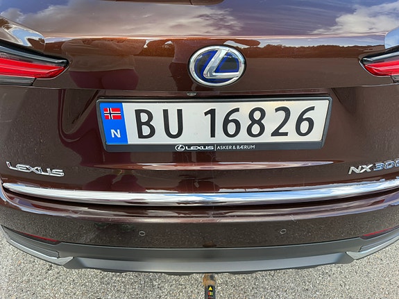 Lexus NX300h 10 of 30