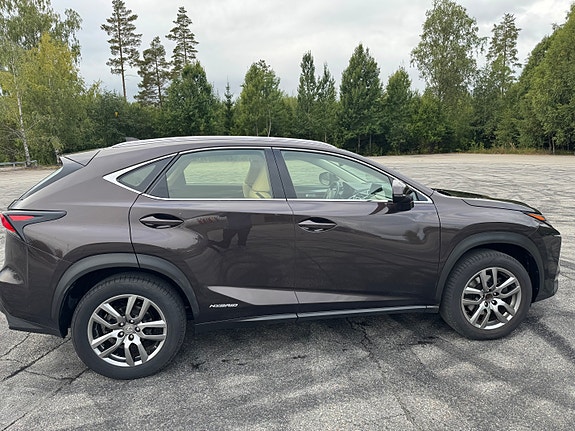 Lexus NX300h 6 of 24