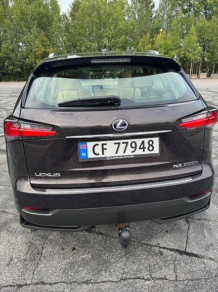Lexus NX300h 4 of 24