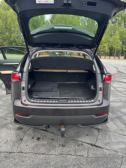 Lexus NX300h 10 of 24
