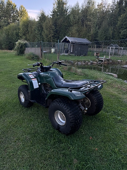 Yamaha Grizzly 4 of 7