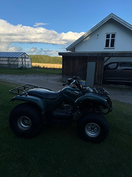 Yamaha Grizzly 2 of 7