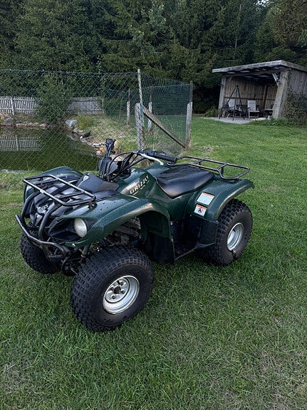 Yamaha Grizzly 5 of 7