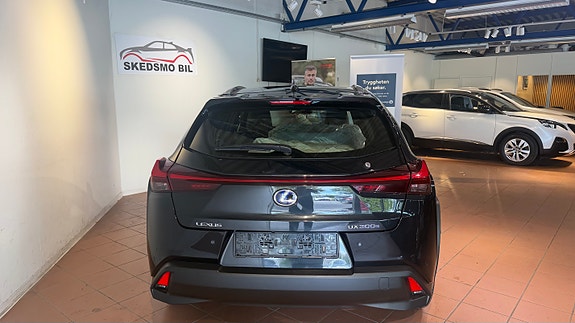 Lexus UX300e 6 of 20