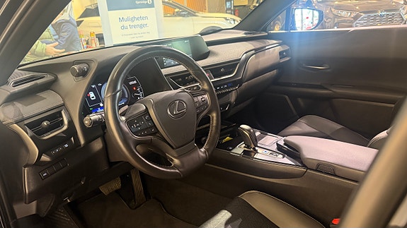 Lexus UX300e 14 of 20