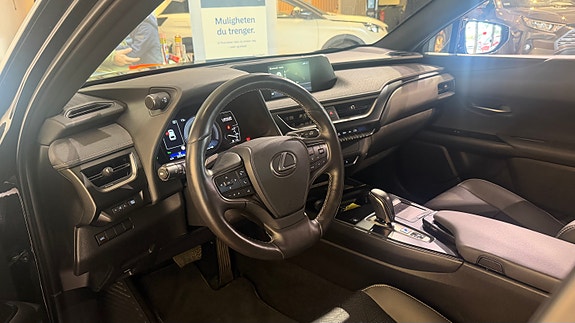 Lexus UX300e 15 of 20