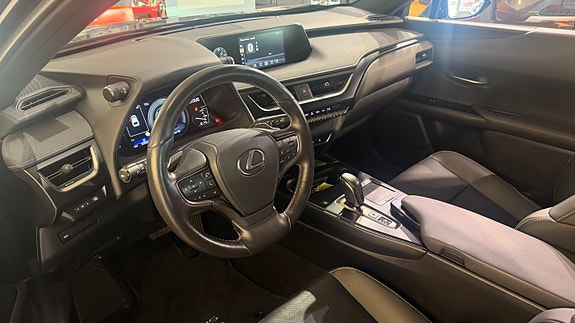 Lexus UX300e 19 of 20