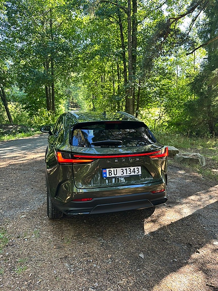 Lexus NX450h+ 10 of 30