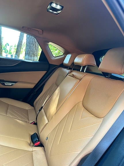 Lexus NX450h+ 22 of 30