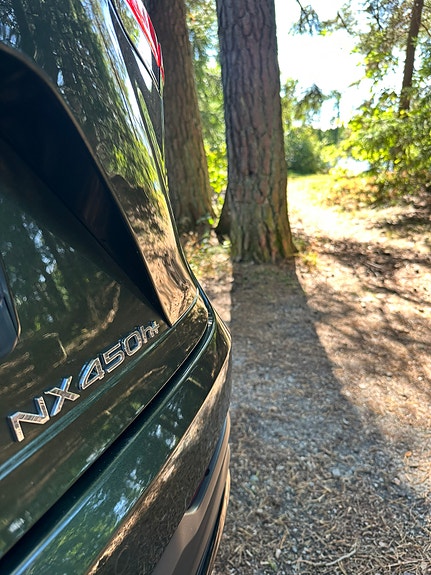 Lexus NX450h+ 11 of 30