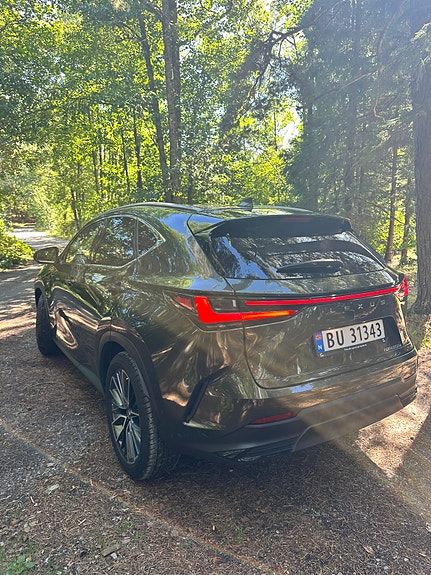 Lexus NX450h+ 8 of 30