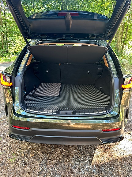 Lexus NX450h+ 16 of 30