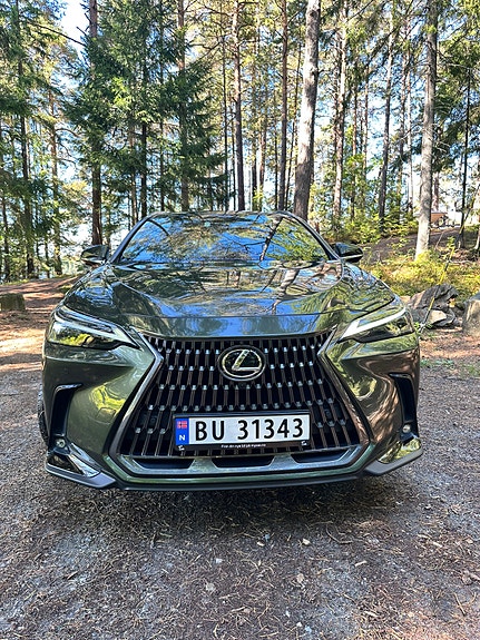 Lexus NX450h+ 3 of 30