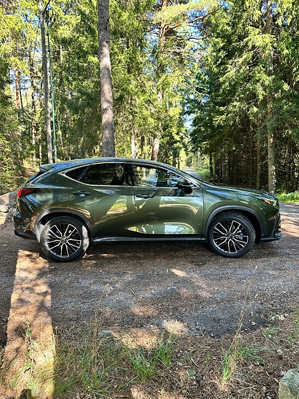 Lexus NX450h+ 6 of 30
