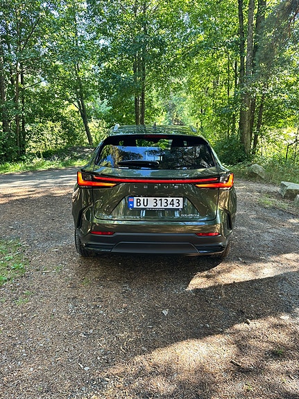 Lexus NX450h+ 9 of 30