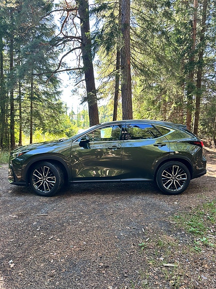 Lexus NX450h+ 5 of 30