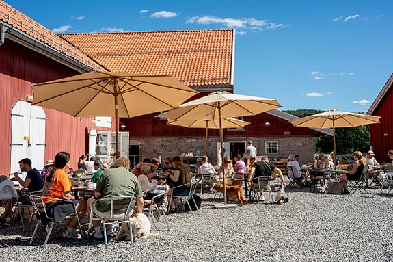 Bilde fra arbeidsgiver