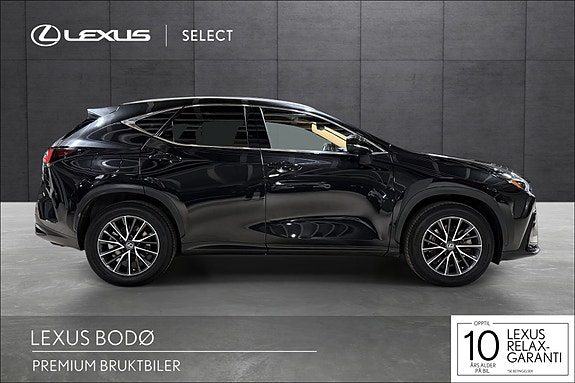 Lexus NX450h 6 of 25