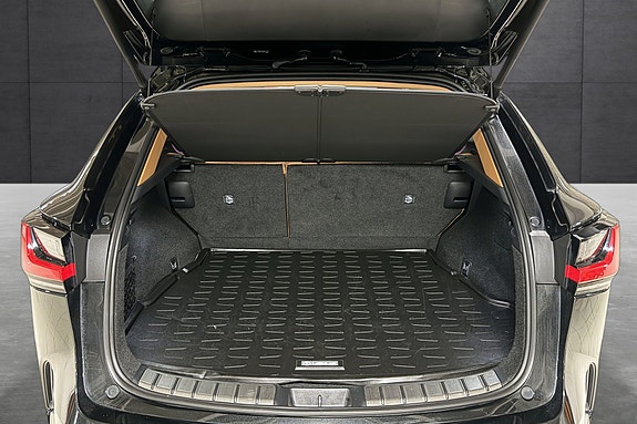 Lexus NX450h 21 of 25