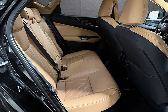 Lexus NX450h 20 of 25