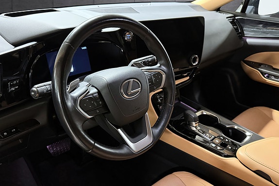 Lexus NX450h 11 of 25