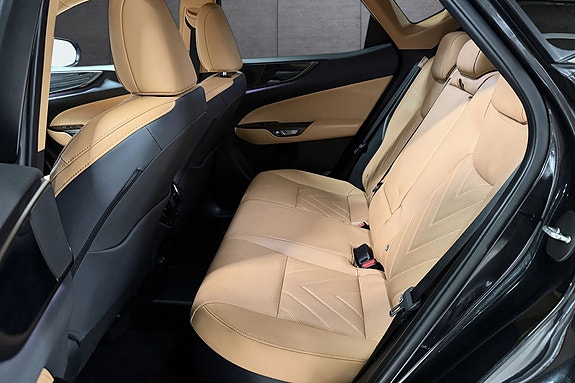 Lexus NX450h 19 of 25