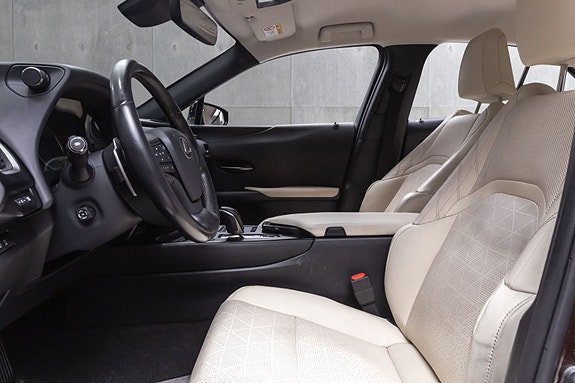 Lexus UX300e 20 of 29