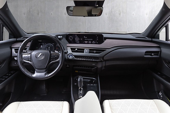 Lexus UX300e 23 of 29
