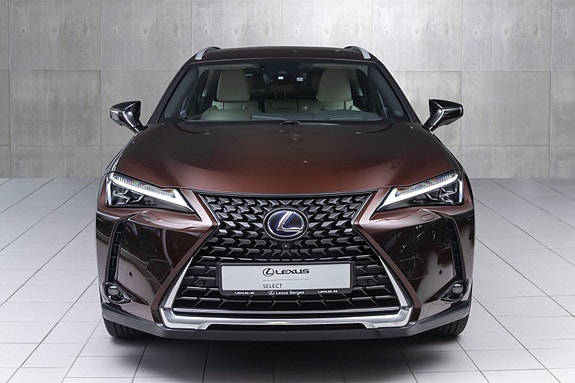 Lexus UX300e 4 of 29
