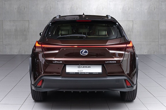 Lexus UX300e 8 of 29
