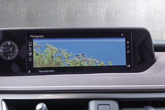 Lexus UX300e 15 of 29
