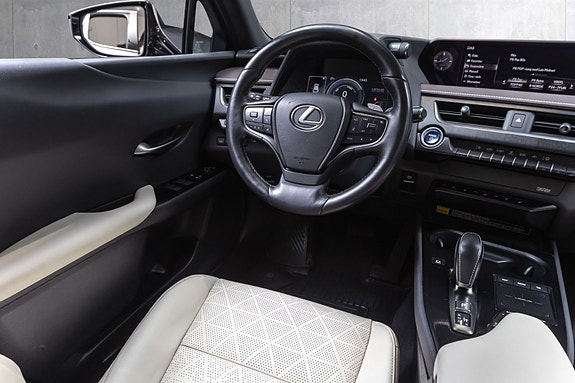 Lexus UX300e 24 of 29