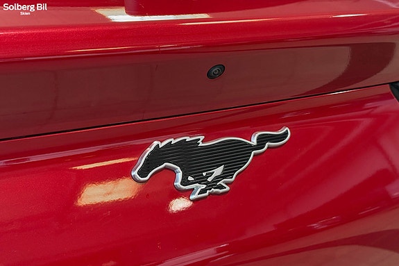 Ford Mustang Mach-E 12 of 30