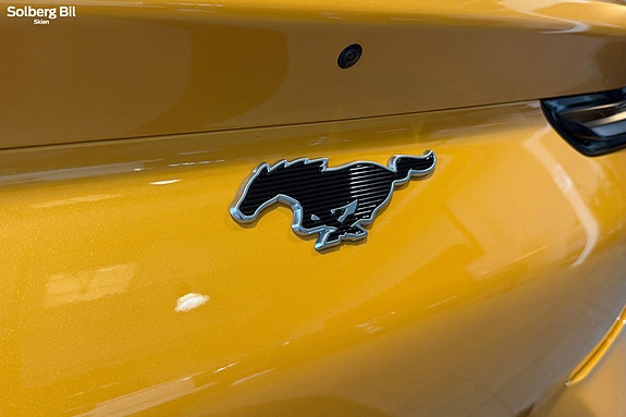 Ford Mustang Mach-E 13 of 30