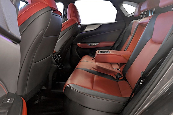 Lexus NX450h 20 of 30
