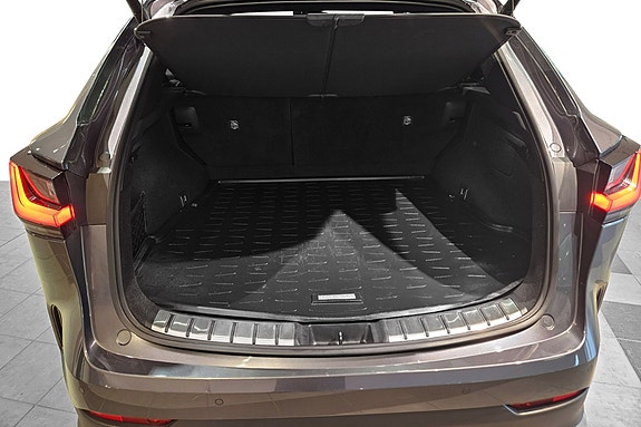 Lexus NX450h 18 of 30