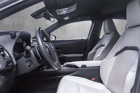 Lexus UX300e 20 of 28