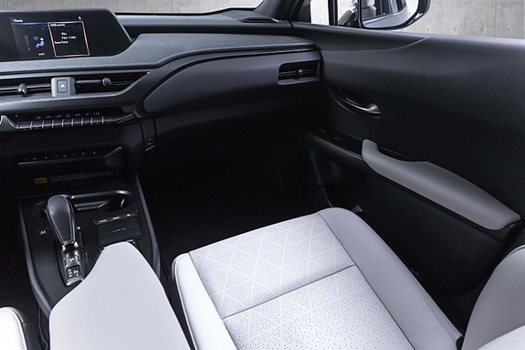 Lexus UX300e 25 of 28