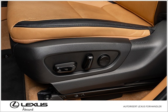 Lexus RZ450e 16 of 30