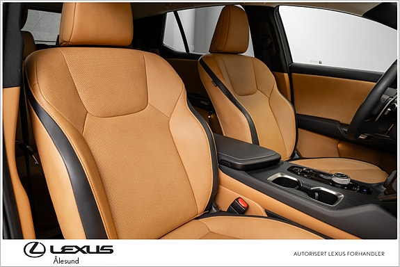 Lexus RZ450e 27 of 30