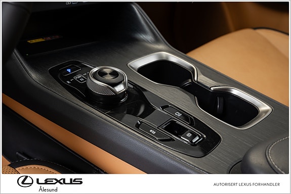Lexus RZ450e 13 of 30