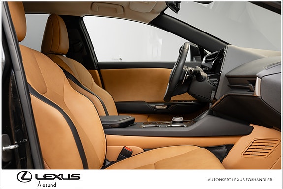 Lexus RZ450e 28 of 30