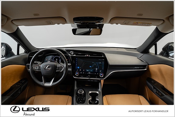 Lexus RZ450e 19 of 30